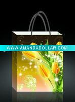 pp gift bag , shopping bag