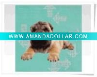 3d animal card