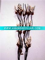 Natural Artificial Dry Flower YX
