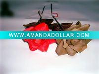 Wholesale Natural Artificial Dry Flower YX
