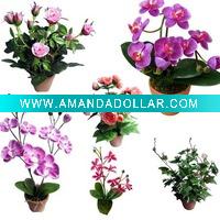 Wholesale Artificial Orchid Flower