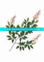 Artificial Leaves