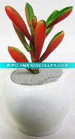 Wholesale Artificial plant Bonsai