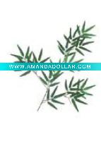 Artificial Leaves
