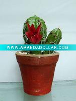 Wholesale artificial cactus,artificial potted cactus,artificial desert plant