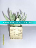 Wholesale Artificial Desert Plants