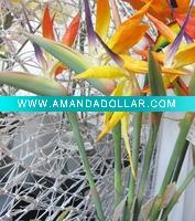 Wholesale artificial plant