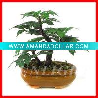 Wholesale Artificial bonsai
