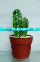 Wholesale artificial cactus,artificial potted cactus,artificial desert plant