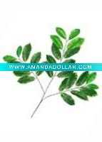 Wholesale Artificial Leaves
