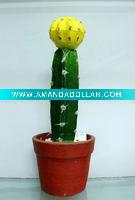 Wholesale artificial cactus,artificial potted cactus,artificial desert plant