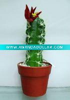 Wholesale artificial cactus,artificial potted cactus,artificial desert plant