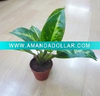 Wholesale artificial plant