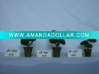 Wholesale bonsai tree
