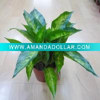 Wholesale artificial plant
