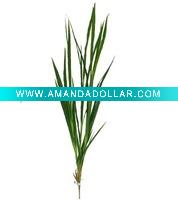 Wholesale Bulrush Leaves
