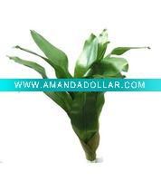 Wholesale Bromelia leaves