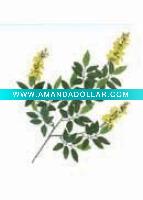 Wholesale Artificial Leaves