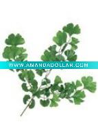 Wholesale Artificial Leaves