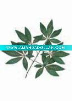 Wholesale Artificial Leaves