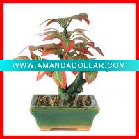 Wholesale Artificial bonsai
