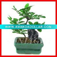 Wholesale Artificial bonsai