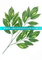 Artificial Leaves