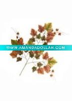 Artificial Leaves