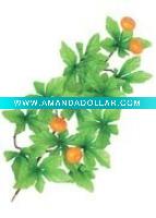 Wholesale Artificial Leaves
