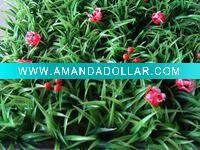 Wholesale artificial iris grass