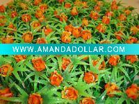 red rose decoration artificial lawn