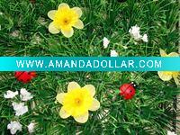 Wholesale ladybird studded artificial lawn