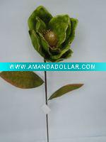 single Kapok flower