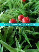 blooming iris synthetic grass