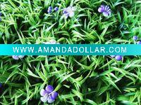 Wholesale orchid decoration green