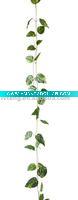 Wholesale Maple leaves