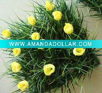 tulip plant