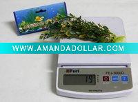 Artificial cute water grass