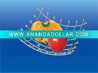 Fruit Tray