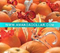 snail shape Orange Peeler ,5202