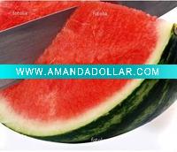 Wholesale Stainless Steel watermelon knife GH-86