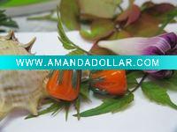 glass bead RY005637