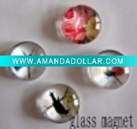 Wholesale Magnet hook Magnet snap Fridge magnet