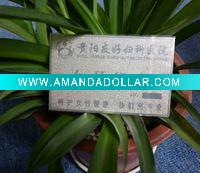 Wholesale hot sell brass business card