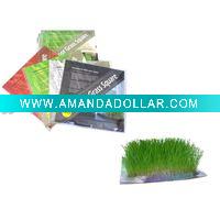Wholesale promotion gift (Indoor Grass Square)