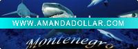 Wholesale 3d shark bookmark