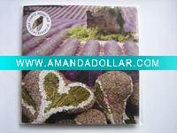 Wholesale newstyle greeting music card