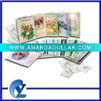 Wholesale 2011 HOT Sale greeting card