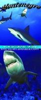 Wholesale 3d shark bookmark