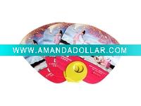 2011 Promotion PP fan,handcraft fan,plastic hand fan